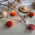 Little Pumpkin Babies